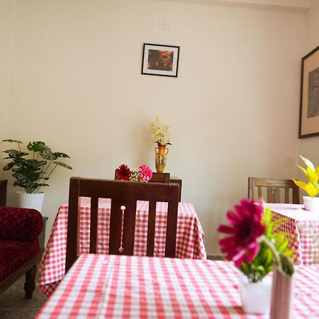 Mother Tree Inn Kochi Luaran gambar